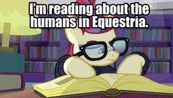Size: 960x540 | Tagged: safe, edit, edited screencap, editor:undeadponysoldier, ponerpics import, ponybooru import, screencap, moondancer, pony, unicorn, amending fences, book, clothes, female, gif, glasses, humans in equestria, image, implied human, interested, intrigued, lamp, library, mare, reading, solo, sweater, tape, text
