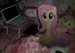 Size: 828x585 | Tagged: artist needed, source needed, safe, derpibooru import, edit, fluttershy, pegasus, pony, bed, computer, dark, image, irl, jpeg, laptop computer, on bed, photo, plushie, ponies in real life, sanrio, sitting, sitting on bed, smiling, solo