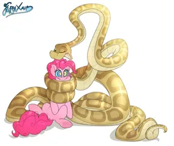 Size: 3451x2905 | Tagged: safe, artist:fluffyxai, derpibooru import, pinkie pie, oc, oc:anika, serpent, snake, coiling, coils, hypnosis, image, imminent vore, png, simple background, smiling, white background, wrapped up