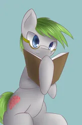 Size: 1250x1920 | Tagged: safe, artist:dshou, derpibooru import, oc, unofficial characters only, earth pony, pony, book, earth pony oc, glasses, image, jpeg, male, reading, simple background, sitting, solo, stallion