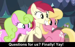 Size: 1920x1207 | Tagged: safe, derpibooru import, screencap, daisy, flower wishes, lily, lily valley, roseluck, earth pony, pony, comic:celestia's servant interview, it isn't the mane thing about you, caption, cs captions, female, flower trio, grin, image, image macro, interview, mare, png, smiling, text