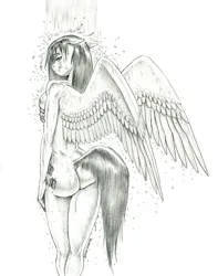 Size: 1100x1396 | Tagged: suggestive, artist:baron engel, derpibooru import, fluttershy, anthro, pegasus, pony, ass, breasts, butt, female, flutterbutt, image, jpeg, mare, monochrome, nudity, pencil drawing, showering, sideboob, solo, solo female, story included, traditional art, wet, wet hair