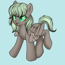 Size: 3000x3000 | Tagged: safe, artist:dumbwoofer, derpibooru import, oc, oc:forest air, pegasus, pony, ear fluff, female, image, looking at you, mare, png, simple background, solo, spread wings, wings, xp