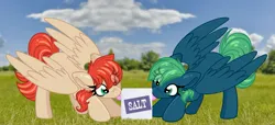 Size: 3795x1735 | Tagged: safe, artist:littleblackraencloud, derpibooru import, oc, unofficial characters only, pegasus, pony, duo, food, image, jpeg, licking, pegasus oc, salt, tongue out, wings