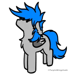 Size: 3000x3000 | Tagged: safe, artist:purple wingshade, derpibooru import, oc, oc:linkle, pegasus, pony, chest fluff, colored wings, cute, ear fluff, image, long ears, male, multicolored wings, png, small, solo, stallion, wings
