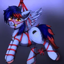 Size: 1500x1500 | Tagged: suggestive, artist:freak-side, derpibooru import, oc, oc:dawn chaser, unofficial characters only, pegasus, pony, bit, bit gag, blushing, bondage, bow, colored hooves, commission, cutie mark, eye clipping through hair, gag, gradient background, image, looking at you, male, male oc, pegasus oc, png, rope, rope bondage, shibari, solo, stallion, stallion oc, submissive, suspended, suspension bondage, tack, tail, tied up, two toned mane, two toned tail, unshorn fetlocks, wings, ych result