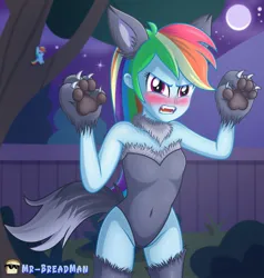 Size: 1000x1051 | Tagged: suggestive, artist:mr-breadman, derpibooru import, rainbow dash, werewolf, equestria girls, belly button, blushing, clothes, costume, cute, dashabetes, embarrassed, fangs, female, fence, full moon, fur, g4, image, jpeg, looking at you, midriff, moon, night, open mouth, outdoors, sky, socks, solo, stars, thigh highs, tree