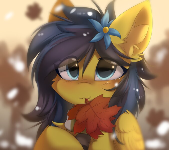 Size: 4096x3634 | Tagged: safe, alternate version, artist:lunylin, derpibooru import, oc, unofficial characters only, pegasus, pony, autumn, blushing, cheek fluff, clothes, ear fluff, eye clipping through hair, falling leaves, female, folded wings, high res, image, jpeg, leaves, looking at you, mare, mouth hold, pegasus oc, scarf, smiling, smiling at you, snow, snowfall, solo, wings