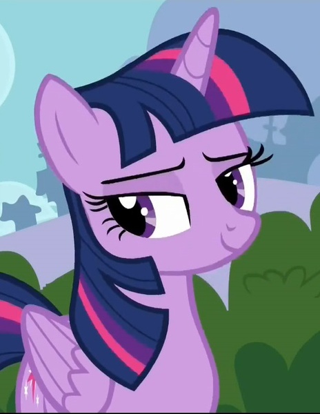 Size: 550x711 | Tagged: safe, derpibooru import, screencap, twilight sparkle, twilight sparkle (alicorn), alicorn, pony, it ain't easy being breezies, season 4, cropped, female, g4, image, jpeg, lidded eyes, mare, smiling, solo