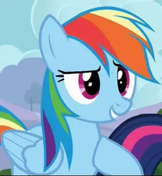 Size: 653x711 | Tagged: safe, derpibooru import, screencap, rainbow dash, twilight sparkle, pegasus, pony, it ain't easy being breezies, season 4, cropped, female, g4, hoof on chest, image, jpeg, lidded eyes, mare, offscreen character, smiling, solo focus