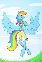 Size: 1503x2187 | Tagged: safe, artist:destiny_manticor, derpibooru import, rainbow dash, anthro, pegasus, pony, clothes, cloud, digital art, facing away, female, flying, g4, grass, image, mare, png, rear view, redraw, sky, solo, spread wings, wings