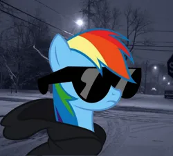 Size: 736x662 | Tagged: safe, derpibooru import, edit, rainbow dash, pegasus, pony, clothes, g4, hoodie, image, png, real life background, solo, sunglasses, winter