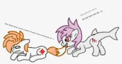 Size: 736x385 | Tagged: suggestive, artist:kairi-the-filly, oc, oc:bleedshark, oc:kairi, unofficial characters only, earth pony, original species, pony, shark, shark pony, dialogue, female, fox tail, image, imminent sex, jpeg, mare, profile, prone, sharp teeth, simple background, tail, tail pull, teary eyes, teeth, white background