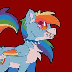 Size: 900x900 | Tagged: safe, artist:peribot, derpibooru import, rainbow dash, pegasus, pony, chest fluff, choker, image, png, red background, simple background, smiling, solo, spiked choker, teeth