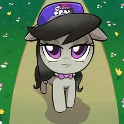 Size: 1200x1200 | Tagged: safe, artist:talimingi, derpibooru import, octavia melody, earth pony, pony, baseball cap, cap, female, floppy ears, frown, hat, image, jpeg, lidded eyes, looking at you, mare, octavia is not amused, ponified animal photo, solo, unamused