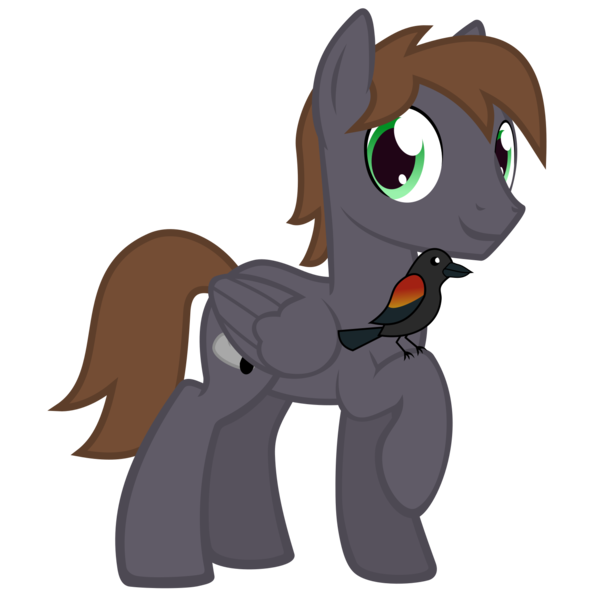 Size: 1501x1501 | Tagged: safe, artist:the smiling pony, derpibooru import, oc, oc:wingbeat, unofficial characters only, bird, pegasus, pony, derpibooru community collaboration, .svg available, 2024 community collab, blackbird, brown mane, brown tail, folded wings, full body, g4, green eyes, grin, image, looking at you, male, pegasus oc, png, show accurate, simple background, smiling, smiling at you, solo, stallion, standing, tail, three quarter view, transparent background, vector, wings