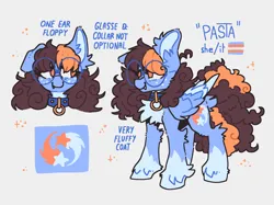 Size: 2548x1909 | Tagged: safe, artist:pastacrylic, derpibooru import, oc, oc:pasta, unofficial characters only, pegasus, image, pegasus oc, png, pride flag, pronouns, reference sheet, wings