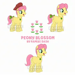 Size: 2560x2560 | Tagged: safe, artist:ramixe dash, derpibooru import, posey (g5), pony, g5, g4, g5 to g4, generation leap, image, jpeg, male, peony blossom, rule 63, simple background, solo, stallion, white background