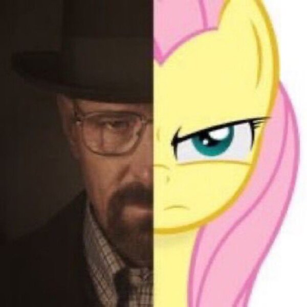 Size: 1098x1098 | Tagged: safe, derpibooru import, edit, fluttershy, human, pony, bad edit, frown, image, jpeg, shitposting, walter white