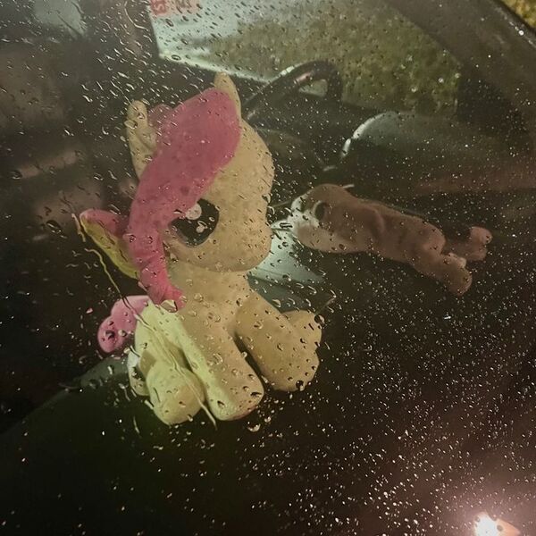 Size: 736x736 | Tagged: safe, derpibooru import, fluttershy, pony, car, image, irl, jpeg, photo, plushie, rain, window