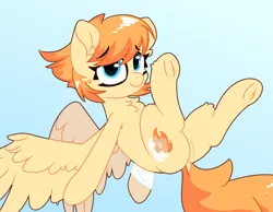 Size: 2250x1750 | Tagged: safe, artist:fakkajohan, derpibooru import, oc, oc:flarewind, unofficial characters only, pegasus, pony, bandage, chest fluff, cute, dock, eyebrows, eyebrows visible through hair, female, image, looking at you, png, smiling, solo, spread wings, tail, wings