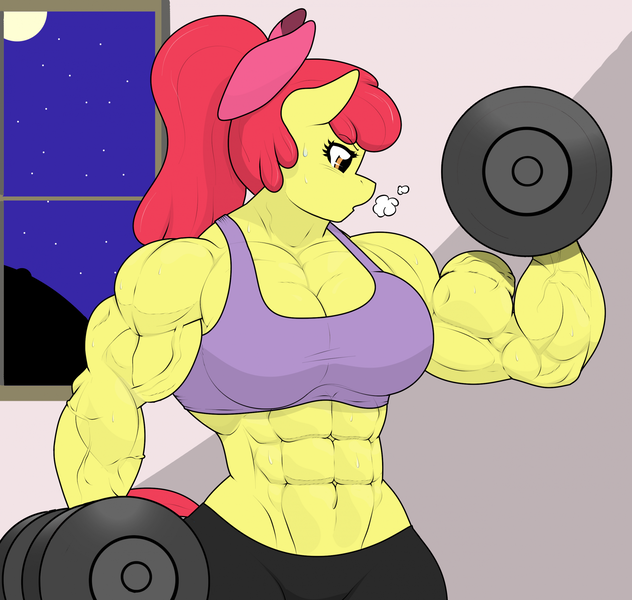 Size: 1970x1870 | Tagged: safe, artist:matchstickman, derpibooru import, apple bloom, anthro, earth pony, pony, abs, apple brawn, bicep flex, biceps, breasts, busty apple bloom, clothes, deltoids, dumbbell (object), female, flexing, g4, image, mare, matchstickman's apple brawn series, muscles, muscular female, night, older, older apple bloom, pecs, png, solo, sweat, triceps, vein, weights