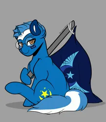 Size: 1781x2048 | Tagged: safe, artist:cyberafter, derpibooru import, part of a set, oc, oc:moon rise, unofficial characters only, pony, unicorn, commission, flag, glasses, image, jpeg, male, new lunar republic, solo, stallion, ych result