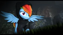 Size: 3840x2160 | Tagged: safe, artist:abitofjoy, derpibooru import, rainbow dash, pegasus, pony, 3d, clothes, forest, forest background, hoodie, image, nature, png, solo, source filmmaker, tree