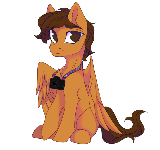 Size: 3606x3394 | Tagged: safe, artist:jsunlight, derpibooru import, oc, oc:toanderic, unofficial characters only, pegasus, pony, derpibooru community collaboration, 2024 community collab, camera, chest fluff, ear fluff, hoof fluff, image, looking at you, png, raised hoof, simple background, sitting, solo, transparent background