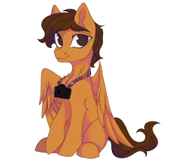 Size: 3606x3394 | Tagged: safe, artist:jsunlight, derpibooru import, oc, oc:toanderic, unofficial characters only, pegasus, pony, derpibooru community collaboration, 2024 community collab, camera, chest fluff, ear fluff, hoof fluff, image, looking at you, png, raised hoof, simple background, sitting, solo, transparent background