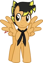 Size: 4000x5791 | Tagged: safe, artist:melisareb, derpibooru import, oc, oc:14fan, unofficial characters only, pegasus, pony, derpibooru community collaboration, 2024 community collab, absurd resolution, derpibooru exclusive, g4, image, male, png, simple background, solo, stallion, transparent background, vector, wings