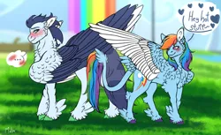 Size: 1920x1174 | Tagged: safe, artist:malinraf1615, derpibooru import, rainbow dash, soarin', pegasus, pony, ..., blushing, chest fluff, colored wings, deviantart watermark, dialogue, feathered fetlocks, female, image, jpeg, leonine tail, male, mare, obtrusive watermark, shipping, soarindash, speech bubble, stallion, straight, tail, two toned wings, watermark, wings