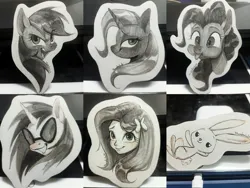 Size: 2088x1566 | Tagged: safe, artist:tttthunderbolt, derpibooru import, fluttershy, pinkie pie, rainbow dash, trixie, vinyl scratch, earth pony, human, pegasus, pony, rabbit, unicorn, animal, bust, collage, image, jpeg, pencil drawing, portrait, traditional art