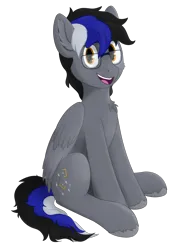 Size: 2480x3508 | Tagged: safe, derpibooru import, oc, oc:laykeen, unofficial characters only, pegasus, pony, derpibooru community collaboration, 2024 community collab, chest fluff, derpibooru exclusive, folded wings, glasses, image, looking at you, male, png, simple background, sitting, transparent background, wings