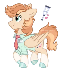 Size: 1900x2128 | Tagged: safe, artist:pink-pone, derpibooru import, oc, oc:tender heart, pegasus, pony, clothes, image, male, png, shirt, simple background, solo, stallion, transparent background