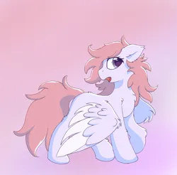 Size: 1526x1501 | Tagged: safe, artist:infinaitly, derpibooru import, oc, pegasus, pony, chest fluff, ear fluff, fangs, fluffy, image, leg fluff, looking to side, looking to the left, pink mane, pink tail, png, sideways glance, solo, white coat
