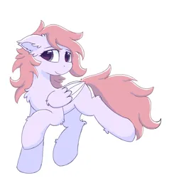 Size: 1131x1188 | Tagged: safe, artist:infinaitly, derpibooru import, oc, pegasus, pony, chest fluff, ear fluff, fluffy, image, leg fluff, looking to side, looking to the right, pink mane, pink tail, png, raised hoof, raised leg, sideways glance, simple background, solo, white background