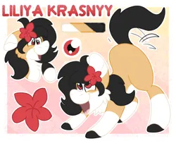 Size: 2500x2000 | Tagged: safe, artist:euspuche, derpibooru import, oc, oc:liliya krasnyy, unofficial characters only, earth pony, female, flower, flower in hair, image, open mouth, png, reference sheet, smiling, solo