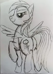 Size: 2519x3506 | Tagged: safe, artist:dhm, derpibooru import, rainbow dash, pony, from behind, image, jpeg, monochrome, raised hoof, sketch, smug, solo, spread wings, traditional art, wings