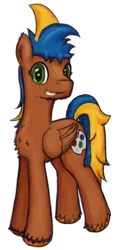 Size: 600x1200 | Tagged: safe, artist:hiddelgreyk, derpibooru import, oc, unofficial characters only, pegasus, pony, derpibooru community collaboration, 2024 community collab, blue mane, brown coat, chest fluff, folded wings, full body, green eyes, grin, hooves, image, looking at you, male, pegasus oc, png, simple background, smiling, solo, stallion, standing, tail, transparent background, two toned mane, two toned tail, wings