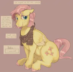 Size: 1068x1045 | Tagged: safe, artist:twistedtoms, derpibooru import, fluttershy, earth pony, pegasus, alternate universe, english, hooves, image, jpeg, pink hair, pink tail, sitting, solo, tail, text, yellow coat