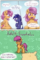 Size: 1280x1922 | Tagged: safe, artist:redheadfly, derpibooru import, scootaloo, oc, oc:blazing sky, pony, pony town, image, older, png, tumblr:ask-adultscootaloo