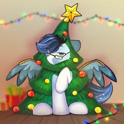 Size: 3000x3000 | Tagged: safe, artist:o0o-bittersweet-o0o, derpibooru import, oc, oc:soaring spirit, unofficial characters only, pegasus, pony, armor, christmas, christmas lights, christmas tree, coat markings, colored wings, eye clipping through hair, facial markings, glasses, holiday, image, indoors, looking at you, male, markings, multicolored hair, multicolored mane, png, present, raffle prize, raised leg, sitting, smiling, spread wings, stallion, tree, two toned wings, wing armor, wing brace, wings
