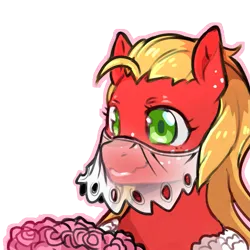 Size: 1159x1159 | Tagged: safe, artist:cold-blooded-twilight, derpibooru import, big macintosh, blushing, flower, freckles, image, lipstick, long hair, macareina, marriage, png, rule 63, simple background, transparent background, wedding, wedding veil