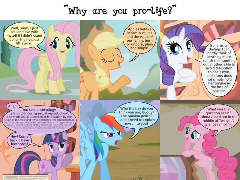 Size: 2160x1620 | Tagged: safe, derpibooru import, edit, edited screencap, screencap, applejack, fluttershy, pinkie pie, rainbow dash, rarity, twilight sparkle, earth pony, pegasus, pony, unicorn, abortion, caption, comic, dialogue, female, g4, image, mane six, mare, panels, png, politics, screencap comic, speech bubble, text