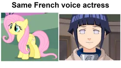 Size: 1920x1080 | Tagged: episode needed, safe, derpibooru import, edit, edited screencap, screencap, fluttershy, pegasus, pony, exploitable meme, french, g4, hyuuga hinata, image, meme, naruto, png, same voice actor, élisabeth guinand