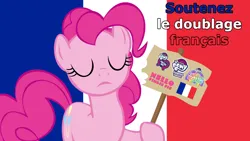 Size: 1920x1080 | Tagged: safe, derpibooru import, pinkie pie, earth pony, pony, female, flag, france, french, g4, image, my little pony logo, png, sign, solo, solo female, support