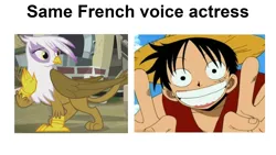 Size: 1920x1080 | Tagged: safe, edit, edited screencap, ponerpics import, ponybooru import, screencap, gilda, gryphon, the lost treasure of griffonstone, exploitable meme, french, image, meme, monkey d. luffy, one piece, png, same voice actor, stéphane excoffier