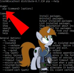 Size: 394x387 | Tagged: safe, derpibooru import, oc, oc:littlepip, pony, unicorn, fallout equestria, arrow, clothes, female, image, jumpsuit, linux, mare, name joke, png, python (language), terminal, vault suit