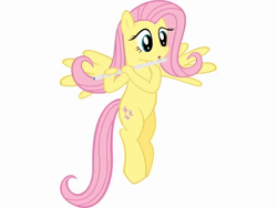 Size: 640x480 | Tagged: safe, ai content, artist:supermatt314, derpibooru import, machine learning assisted, fluttershy, pegasus, pony, animated, female, flute, flying, g4, ian anderson, image, mare, music, musical instrument, playing instrument, simple background, singing, solo, the secret language of birds, webm, white background